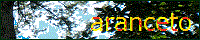 aranceto